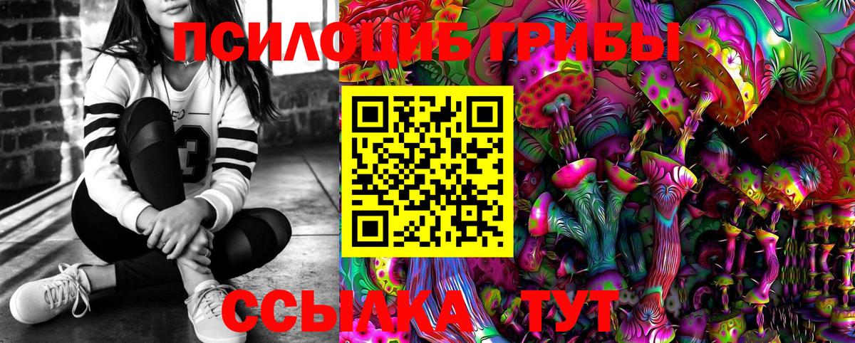 Псилоцибиновые грибы ЛСД  Вход с VPN  Гусь-Хрустальный  Псилоцибиновые грибы прущие грибы 